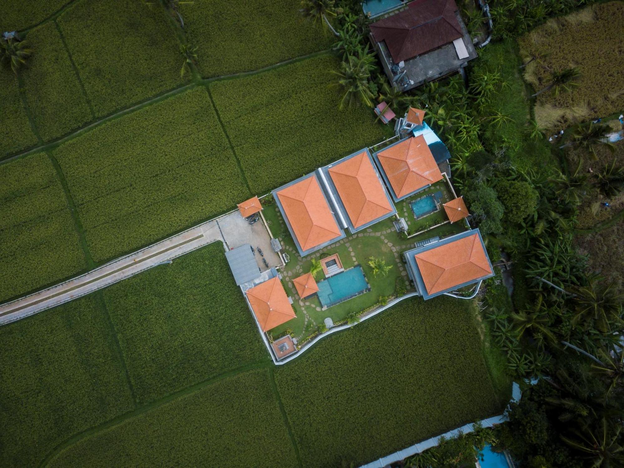 The Patra Ubud Exterior foto